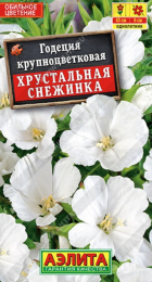 Годеция Хрустальная снежинка (Аэлита) - Сезон у Дачи