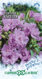 Годеция Каттлея махровая (Гавриш) - Сезон у Дачи