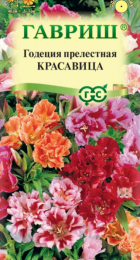 Годеция Красавица махровая смесь (Гавриш) - Сезон у Дачи