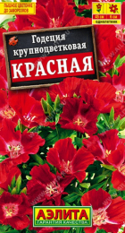Годеция Красная (Аэлита) - Сезон у Дачи