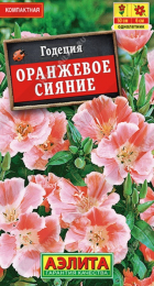 Годеция Оранжевое сияние (Аэлита) - Сезон у Дачи