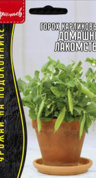 Горох Домашнее Лакомство карликовый (Григорьев) - Сезон у Дачи