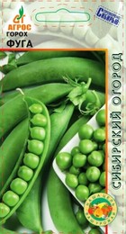 Горох Фуга (Агрос) - Сезон у Дачи