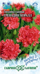 Гвоздика Коралл Гренадин садовая /Устойчив к заморозкам! (Гавриш) - Сезон у Дачи