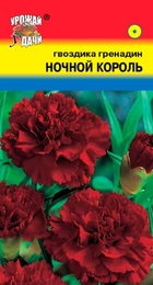 Гвоздика гренадин Ночной король (УУ) - Сезон у Дачи