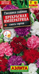 Гвоздика садовая Прекрасная императрица смесь (Аэлита) - Сезон у Дачи