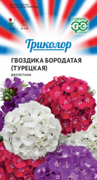Гвоздика Триколор смесь турецкая (Гавриш) - Сезон у Дачи