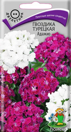 Гвоздика турецкая Адажио 0,3гр (ПОИСК) - Сезон у Дачи