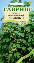 Хмель обыкновенный Дружный - Сезон у Дачи