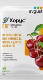 Хорус 2гр (Август) - Сезон у Дачи