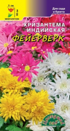 Хризантема Фейерверк индийская (ЦС) - Сезон у Дачи