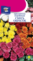 Хризантема Корейская смесь (УУ) - Сезон у Дачи