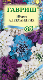 Иберис Александрия /Альпийская горка (Гавриш) - Сезон у Дачи