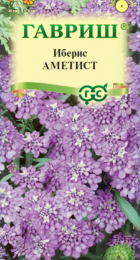 Иберис Аметист зонтичный (Гавриш) - Сезон у Дачи