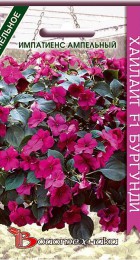 Импатиенс ампельный Хайлайт F1 Бургунди (Биотехника) - Сезон у Дачи