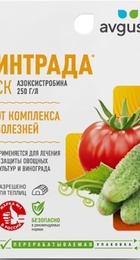 Интрада 10мл АВГУСТ - Сезон у Дачи