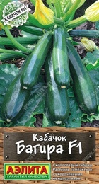 Кабачок Багира F1 цуккини (Аэлита) - Сезон у Дачи