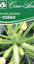 Кабачок Хобби F1 цуккини (Семко) - Сезон у Дачи