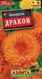 Календула Дракон (Аэлита) - Сезон у Дачи
