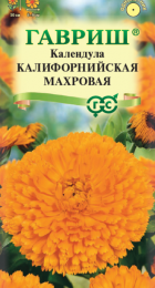 Календула Калифорнийская (Гавриш) - Сезон у Дачи