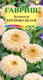 Календула Кремово-белая (Гавриш) - Сезон у Дачи