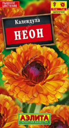 Календула Неон (Аэлита) - Сезон у Дачи