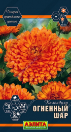 Календула Огненный шар (Аэлита) - Сезон у Дачи