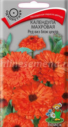 Календула Ред Виз Блэк Центр махровая (Поиск) - Сезон у Дачи
