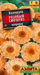Календула Розовый сюрприз (Аэлита) - Сезон у Дачи