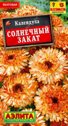 Календула Солнечный закат (Аэлита) - Сезон у Дачи