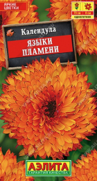 Календула Языки пламени (Аэлита) - Сезон у Дачи