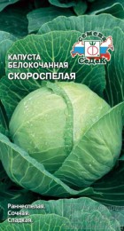 Капуста б/к Скороспелая - Сезон у Дачи