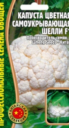 Капуста цветная Шелли F1 самоукрывающая (Григорьев) - Сезон у Дачи
