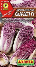 Капуста пекинская Скарлетт F1 (Аэлита) - Сезон у Дачи