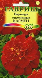 Бархатцы Кармен отклоненные (Гавриш) - Сезон у Дачи