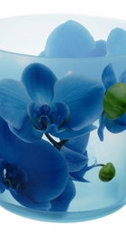 Кашпо пласт ДЕКО 1,2л Орхидея Голубая с подставкой (М-пластика) - Сезон у Дачи