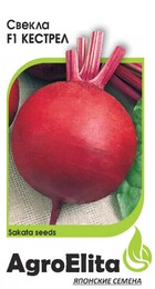 Свекла Кестрел F1 - Сезон у Дачи