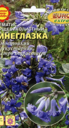 Клематис Синеглазка борщевиколистный (АэлитаЭкстра) - Сезон у Дачи