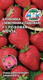 Клубника Розовая мечта F1 (земляника садовая) (СеДеК) - Сезон у Дачи