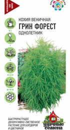 Кохия Грин Форест /УС (Гавриш) - Сезон у Дачи