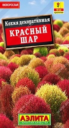 Кохия Красный шар (Аэлита) - Сезон у Дачи