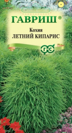 Кохия Летний кипарис (Гавриш) - Сезон у Дачи
