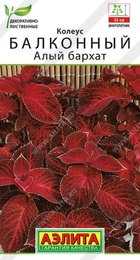 Колеус балконный Алый бархат (Аэлита) - Сезон у Дачи