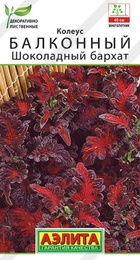 Колеус балконный Шоколадный бархат (Аэлита) - Сезон у Дачи