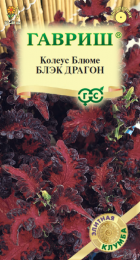 Колеус Блэк Драгон /Элитная клумба (Гавриш) - Сезон у Дачи