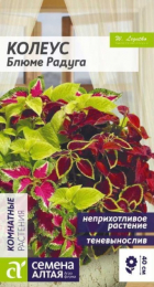 Колеус Блюме Радуга смесь (Сем Алт) - Сезон у Дачи