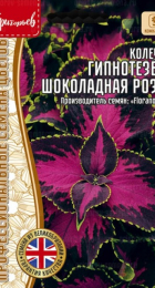 Колеус Гипнотезёр Шоколадная Роза (Mezmerize Chocolate Rose) (Григорьев) - Сезон у Дачи