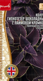 Колеус Гипнотезёр Шоколадный с Лаймовой Кромкой (Mezmerize Chocolate Lime Edge) (Григорьев) - Сезон у Дачи