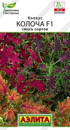 Колеус Колоча F1 смесь (Аэлита) - Сезон у Дачи