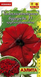 Комплиментуния бургунди F1 крупноцветковая - Сезон у Дачи